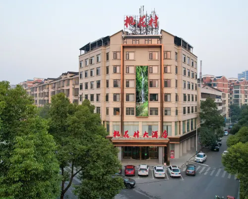 桃江桃花村大酒店 桃江酒店