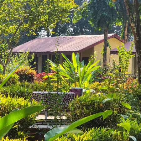 Chitwan Park Resort