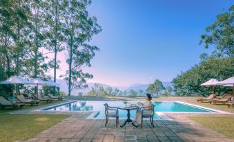 The Lavender House by Reveal