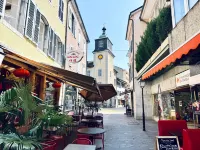 Historic House Aigle - Lake & Alps - Garden & BBQ - マウンテンビュー