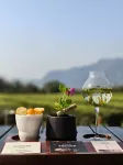 SHANXIU MINSU - servizio colazione