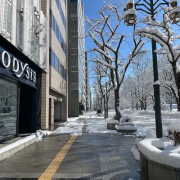 Odysis Sapporo Odori Koen Hotel Hotels near Odori Park