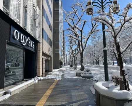 Odysis Sapporo Odori Koen Hotel Hotels in Sapporo