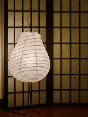 Sunset Pure Female Homestay Empfohlen Photos