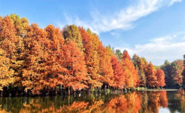 Grand Metropark Nanjing