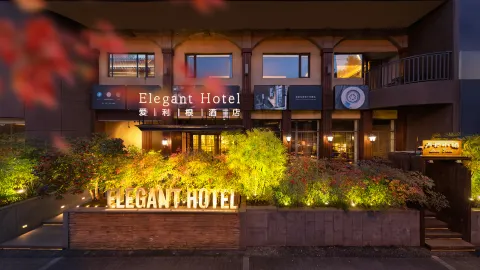 Elegant Hotel in Pujiang