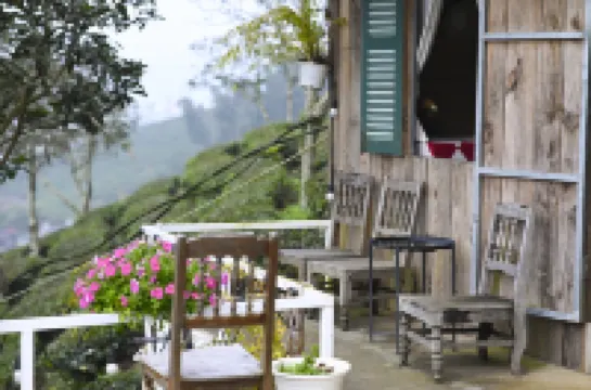 Co May Wonder Hotels in 