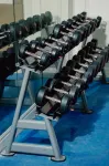 Crown Regency Residences - Cebu - gimnasio