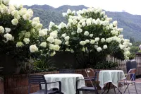 Liupanshui Pushan Fang Hotel (Normal College Meihua Mountain Scenic Area) - bar