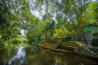 Arcadea Eco Lodge - Kuruwita - piscina