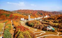 Phoenix Resort Pyeongchang - 5 estrellas