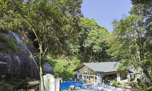Nankunshan yunshu Wild Luxury Hotel