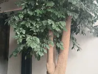 Taizhou Moke Hotel (Taizhou Sports Center) Hotels near Taizhou Sports Center Stadium