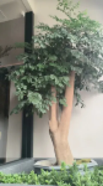 台州陌客酒店（台州體育中心店）