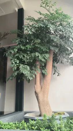 Taizhou Moke Hotel (Taizhou Sports Center)