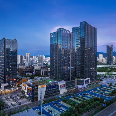 Ganzhou Wellton W Hotel (Da Vinci The Mixc)