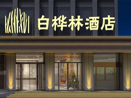 Birches Hotel (Shenyang Sanhao Street Shengjing Hospital) Отели рядом с достопримечательностью «Shenyang Science Palace»