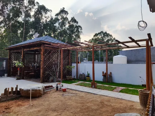Changjiang Zhenghe Homestay - ห้องครัว