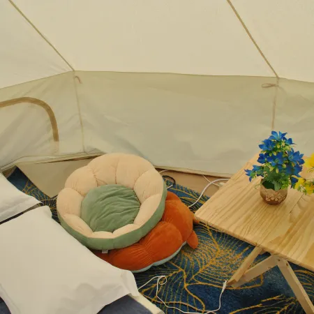 Desert Traveler Star Camping Homestay