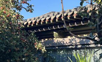 Gulou Yunshu