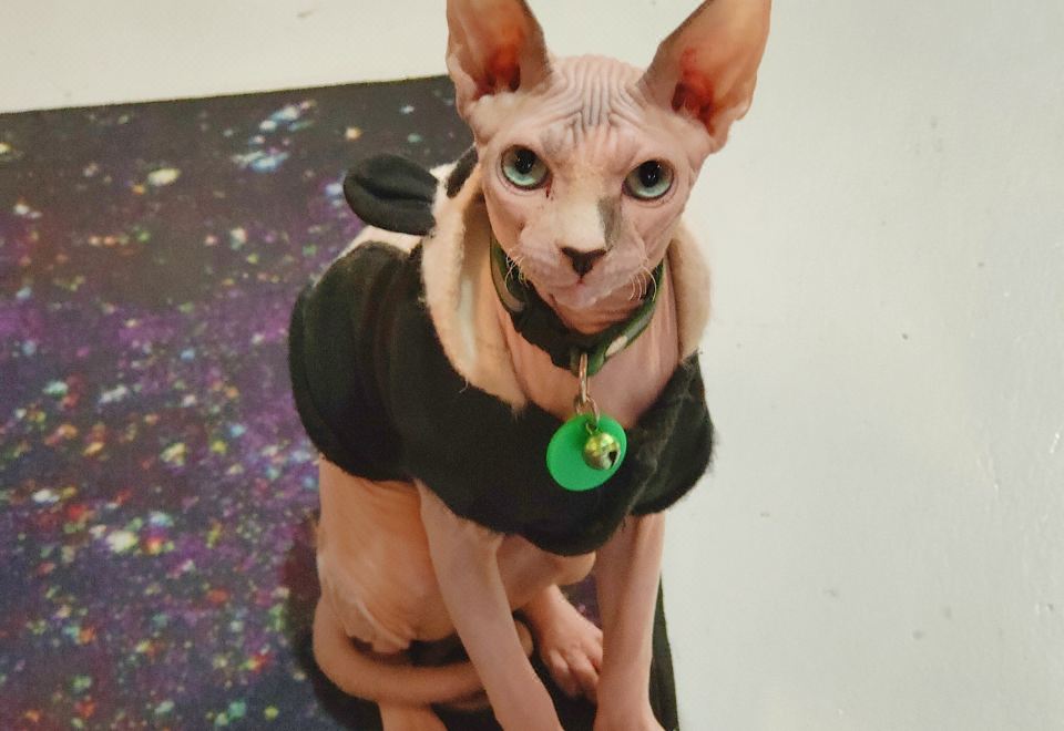 Met A Space Pod 캡슐 호텔