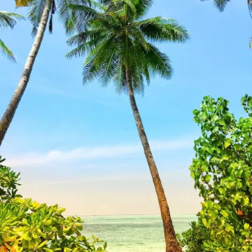 Dhiffushi Tourist Hotel