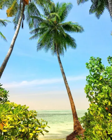 Dhiffushi Tourist Hotel Отели рядом с достопримечательностью «Meeru Island Resort and Spa»