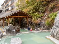 Manza Kogen Hotel - Varme kilder