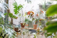 西築民宿(西安城壁鐘鼓楼広場) チョコチョコ・チョコレート博物館(西安大唐不夜城館)周辺のホテル