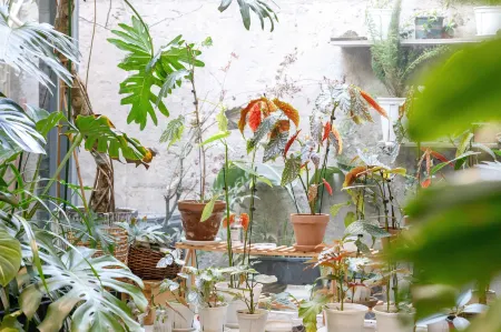 Xi’an Jasmine Boutique Inn Отели рядом с достопримечательностью «Yong Ning Gate»