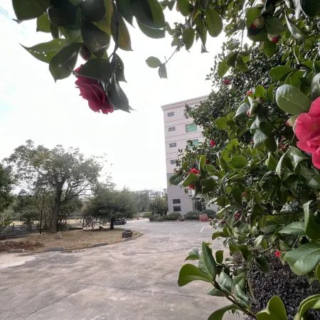 JAUNTYO INTERNATIONAL HOTEL