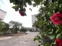 JAUNTYO INTERNATIONAL HOTEL - Mountain view