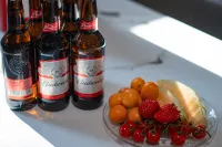 Tonglu Ouyuer Suiyuan Homestay (OMG Heartbeat Amusement Park Yaolin Wonderland Branch) - bar
