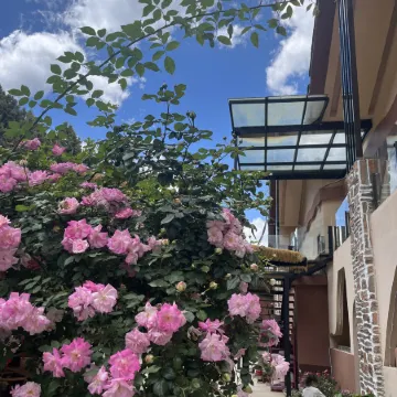 Yunshui Mountain Villa