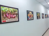 Leling Zaolin Academy Hotel Hotel a Qingyun
