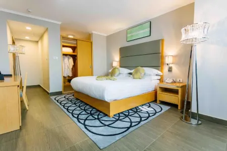 앰배서더 호텔 아디스 아바바