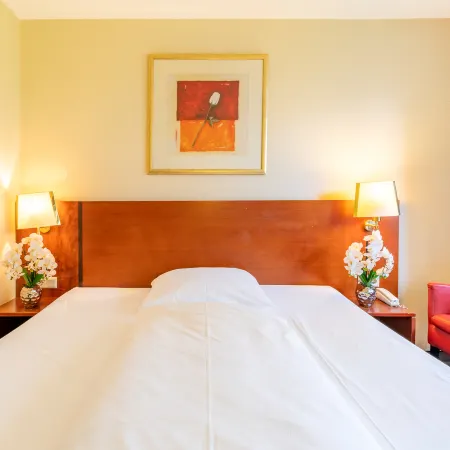 PLAZA INN Goslar