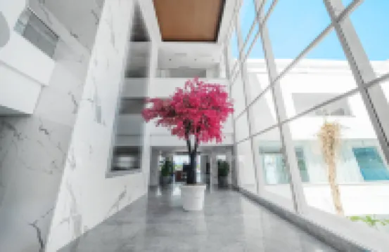 波爾圖蘇赫納海灘度假村 酒店