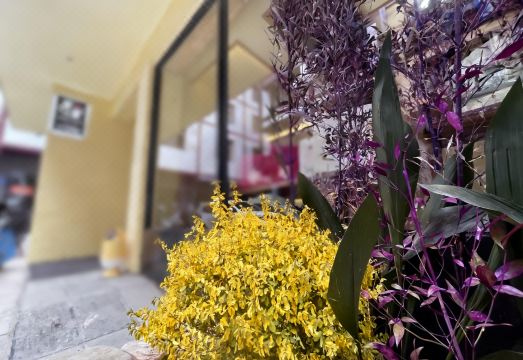 Hansu Exotic Inn 객실 내부