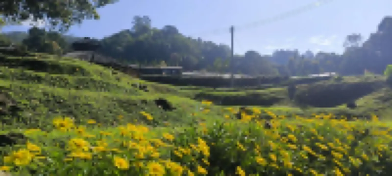 Daelorpu A-Frame House