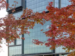 Le Meridien Zhengzhou