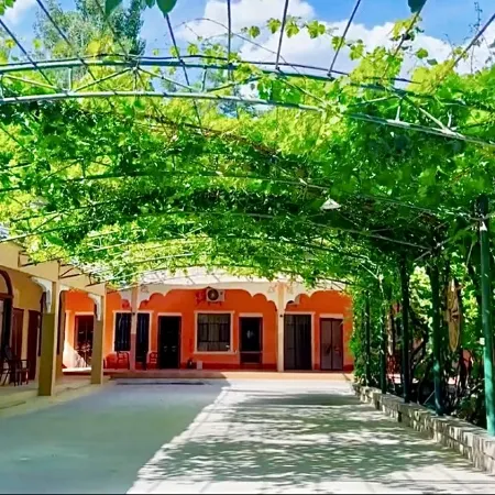 Turpan Momingpinju Homestay (Grape Valley Scenic Area Qingwa Lane)