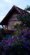 Queeny’s Farm Stay Wooden House