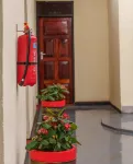 Elikai Hostels - 호스텔