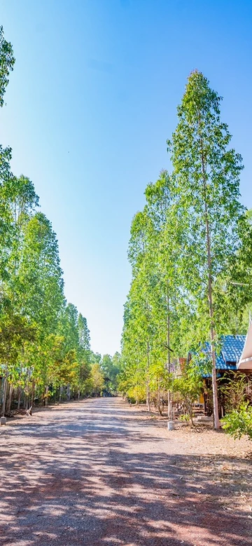 รูปภาพของวังทองบ้านพัก