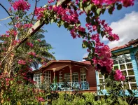 Together Palm Resort Hotels in 