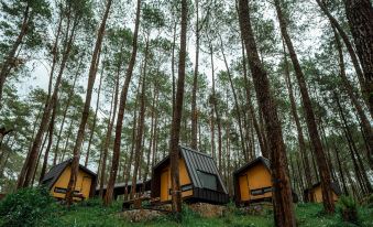 Bobocabin Cikole, Bandung