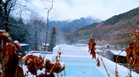 Muyue Qinglan Hostel - Hot Springs