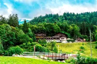 Hotel Bänklialp Hotels in 
