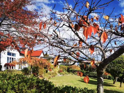 Kelvin Garden Villa Hotel a 
